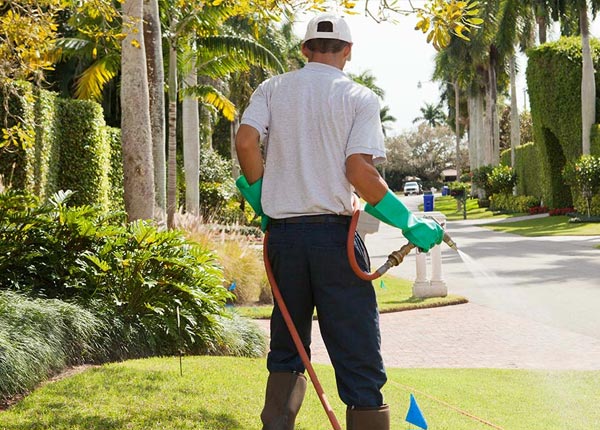 About Glasco KS Pest Control